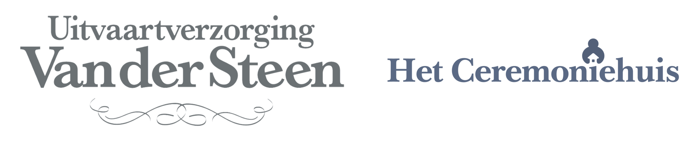 Logo_Grijs_Vandersteenmetkrul_transparant (1)